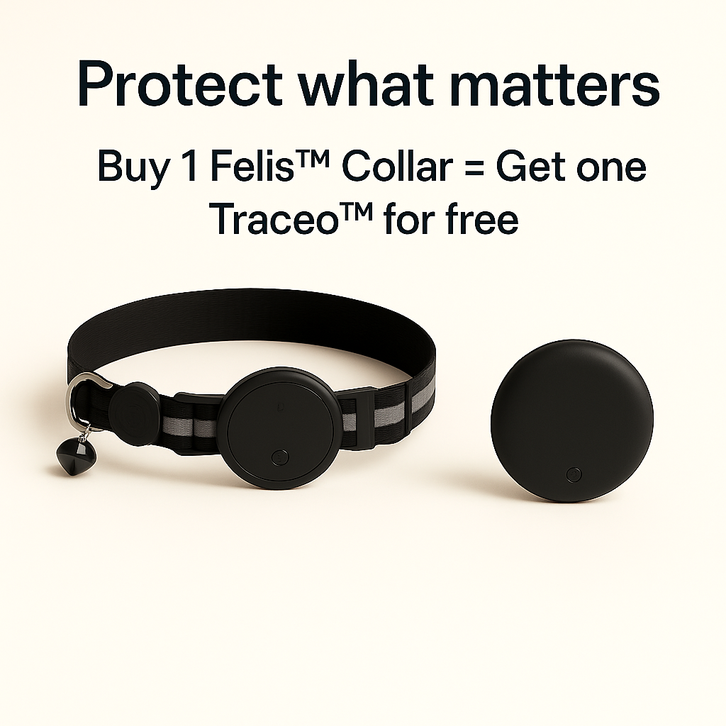 ZENlibre-traceo FELIX